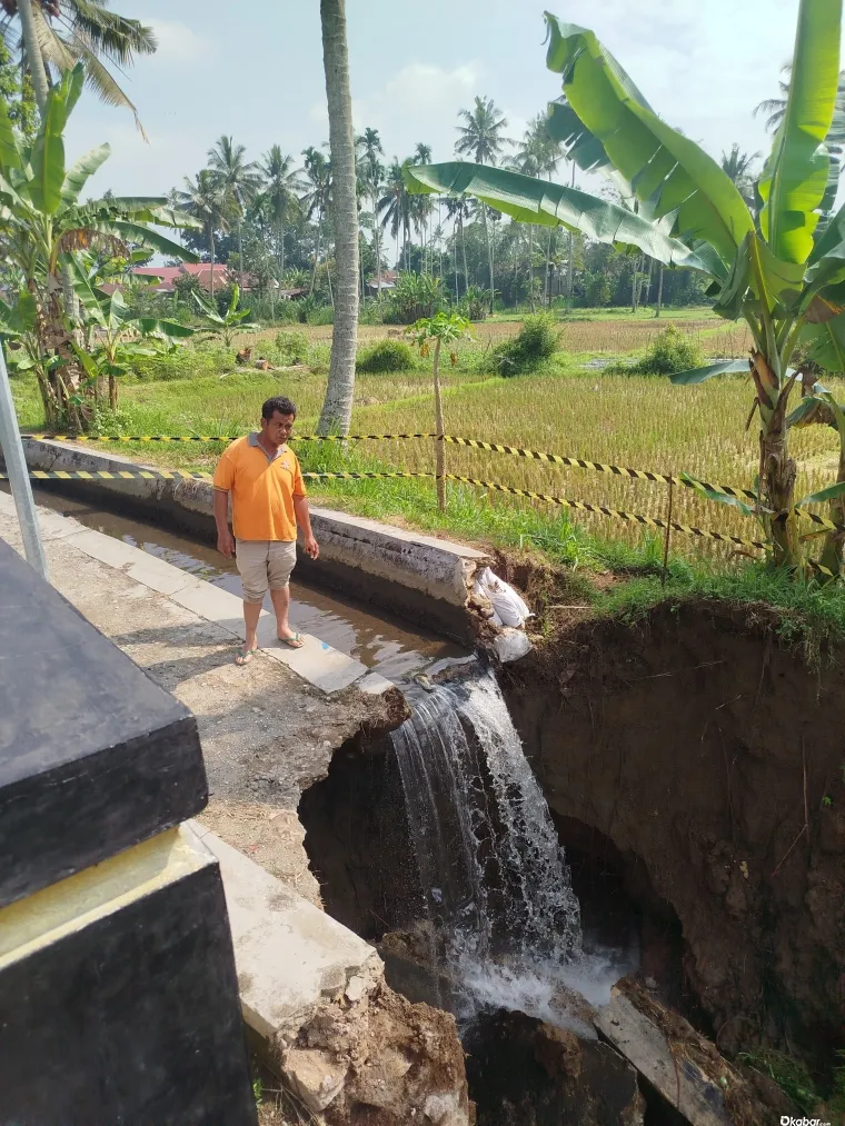Seorang warga memperhatikan irigasi yang longsor.