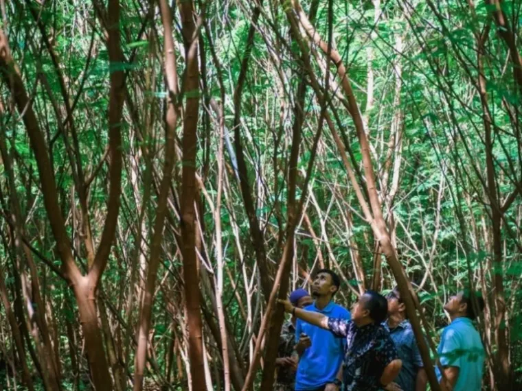 Foto: dok. Humas Semen Padang
