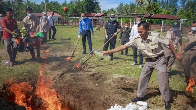 Petugas Balai Karantina Hewan Ikan dan Tumbuhan Sumatera Barat memusnahkan sejumlah komoditas ilegal asal Malaysia dan Singapura karena tidak melengkapi dokumen kekarantinaan di Kota Padang, Sumatera Barat, Rabu (2/7/2025). Antara/Fandi Yogari