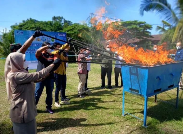 BNNP Sumbar Musnahkan Hampir 30 Kilogram Ganja, Selamatkan Ribuan Generasi Muda