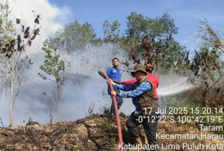 BPBD Sebut Karhutla di Limapuluh Kota Akibat Buka Lahan