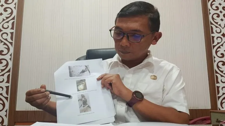 Kepala Dinas Pariwisata Bukittinggi, Rofie Hendria memperlihatkan bukti pengawasan bayi harimau yang mati setelah lahir selama enam hari di TMSBK. (ANTARA/Al Fatah)