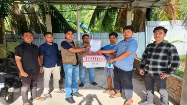 Karyawan Tambak Udang Serahkan Anak Trenggiling ke BKSDA Agam, Siap Dilepasliarkan