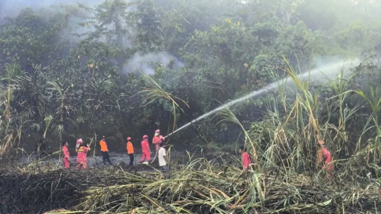 BPBD Sumbar Sebut Modifikasi Cuaca Berhasil Padamkan Karhutla (Ist)