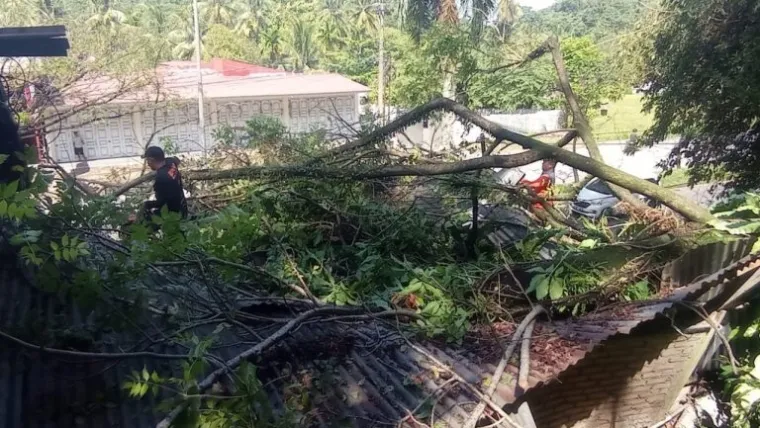 Dok. Humas BPBD Kota Padang