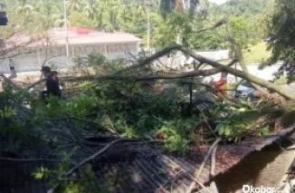 Dok. Humas BPBD Kota Padang