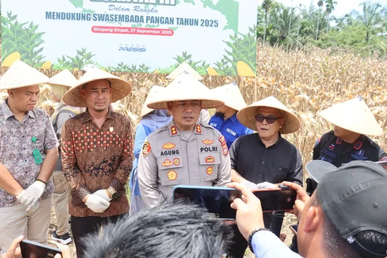 Bupati dan Kapolres Pasbar Panen Jagung Serentak Dukung Swasembada Pangan 2025