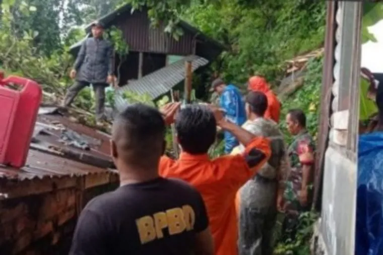 Pohon Tumbang Timpa Tiga Rumah Warga di Padang
