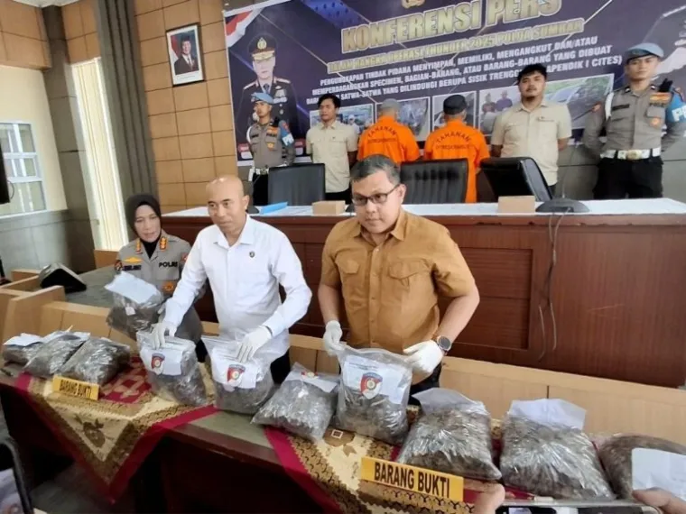 Polda Sumbar Bongkar Sindikat Perdagangan Sisik Trenggiling di Padang