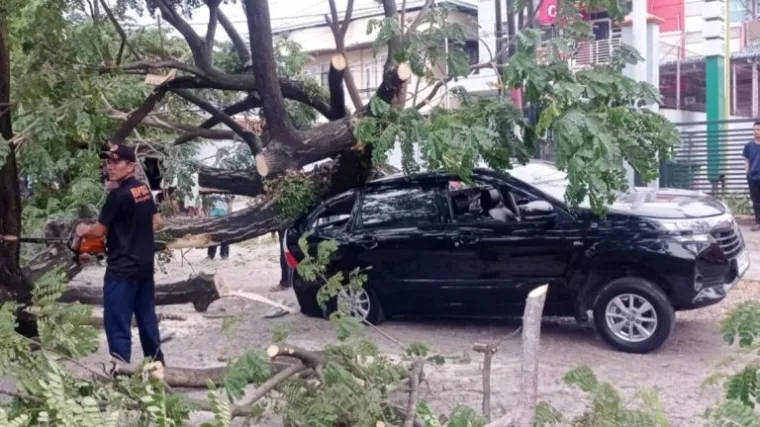Pohon Tumbang di Padang, Timpa Mobil dan Hambat Akses Jalan By Pass