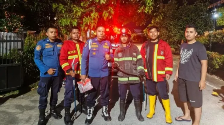 Ular di Rumah Warga Dievakuasi Damkar Padang dalam Hitungan Menit