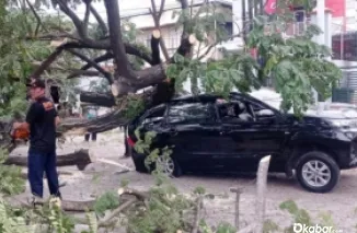 Pohon Tumbang di Padang, Timpa Mobil dan Hambat Akses Jalan By Pass